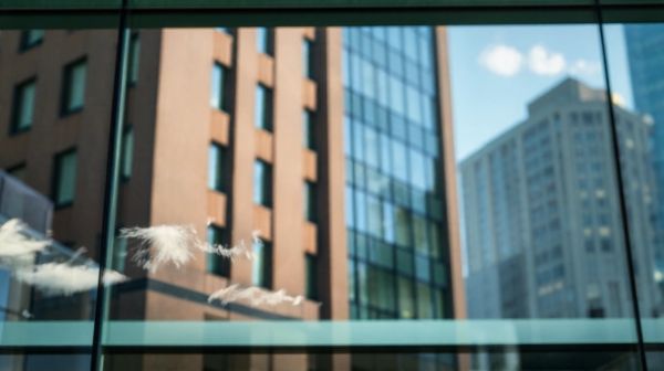 Top window cleaning services to tackle those dirty panes