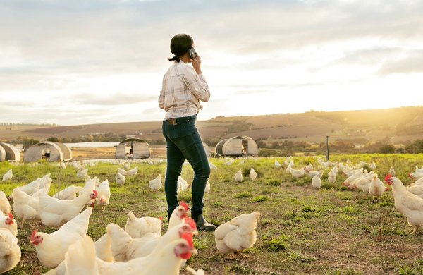 What Are the Best Practices for Deploying 5G in Rural UK Business Operations?